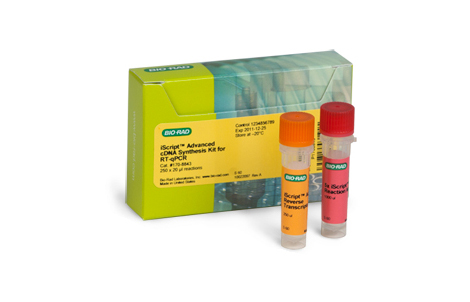 用于 RT-qPCR 的 iScript™ 高级 cDNA 合成试剂盒