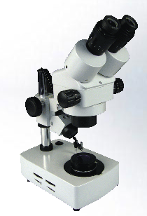 珠宝显微镜XZB-402