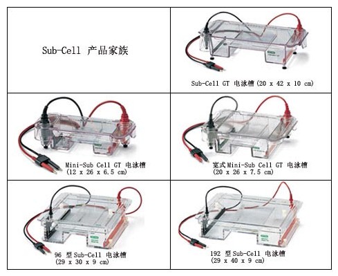 Sub-Cellϵͳ