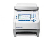ƷƣMC nexus gradient ݶ PCR 