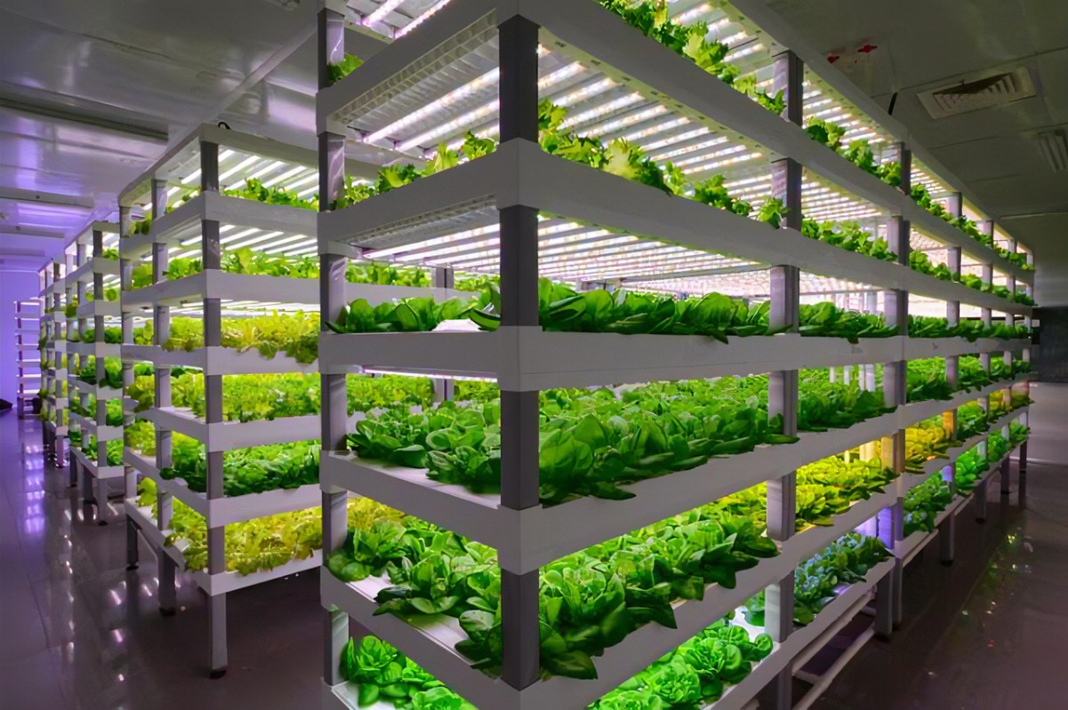 帐篷式人工光植物栽培室 - 产品详细说明